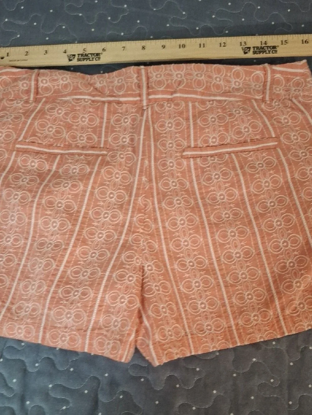 Loft Outlet Embroidered 4 Inch Women's Shorts Size 6